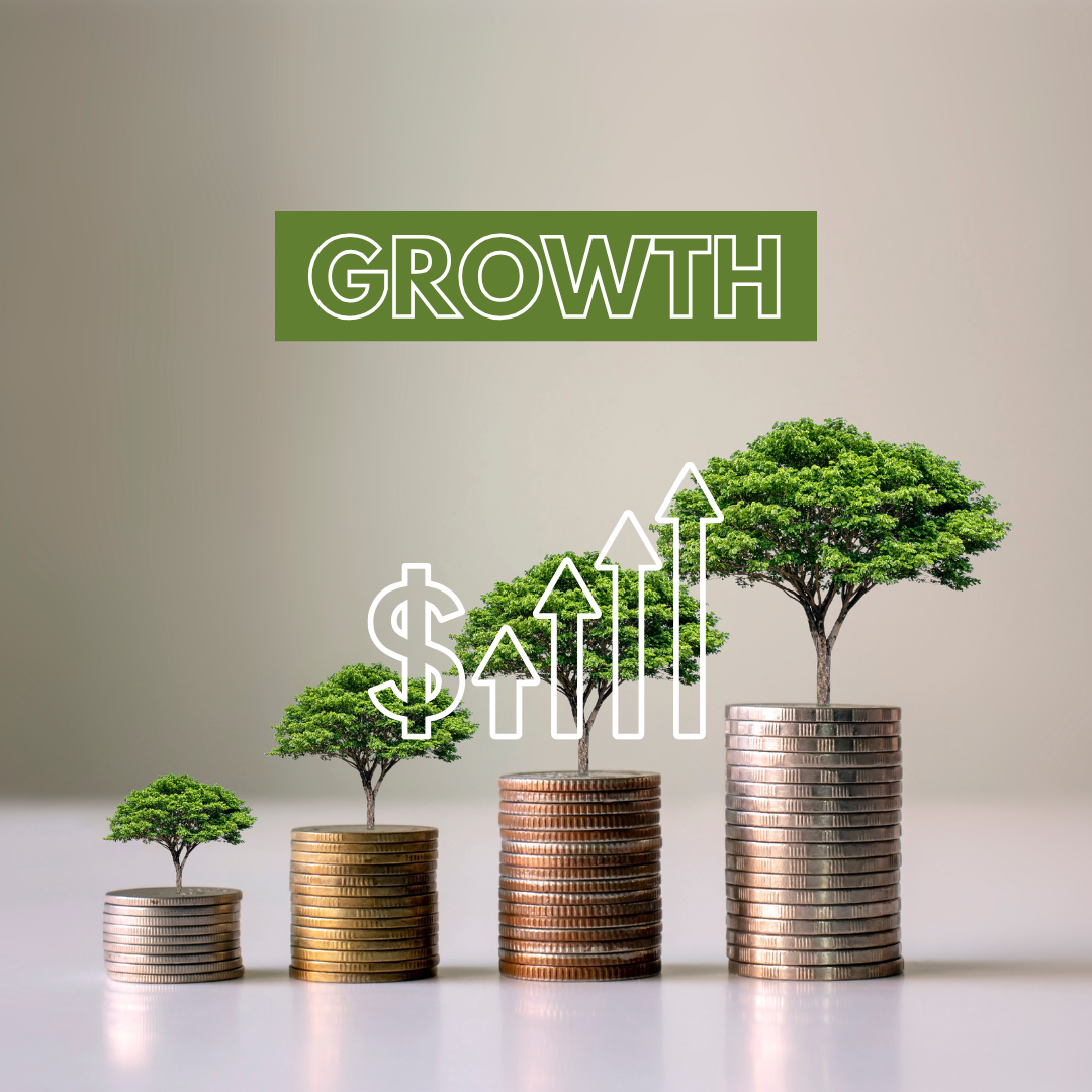 Silver Growth Group Coachig Package